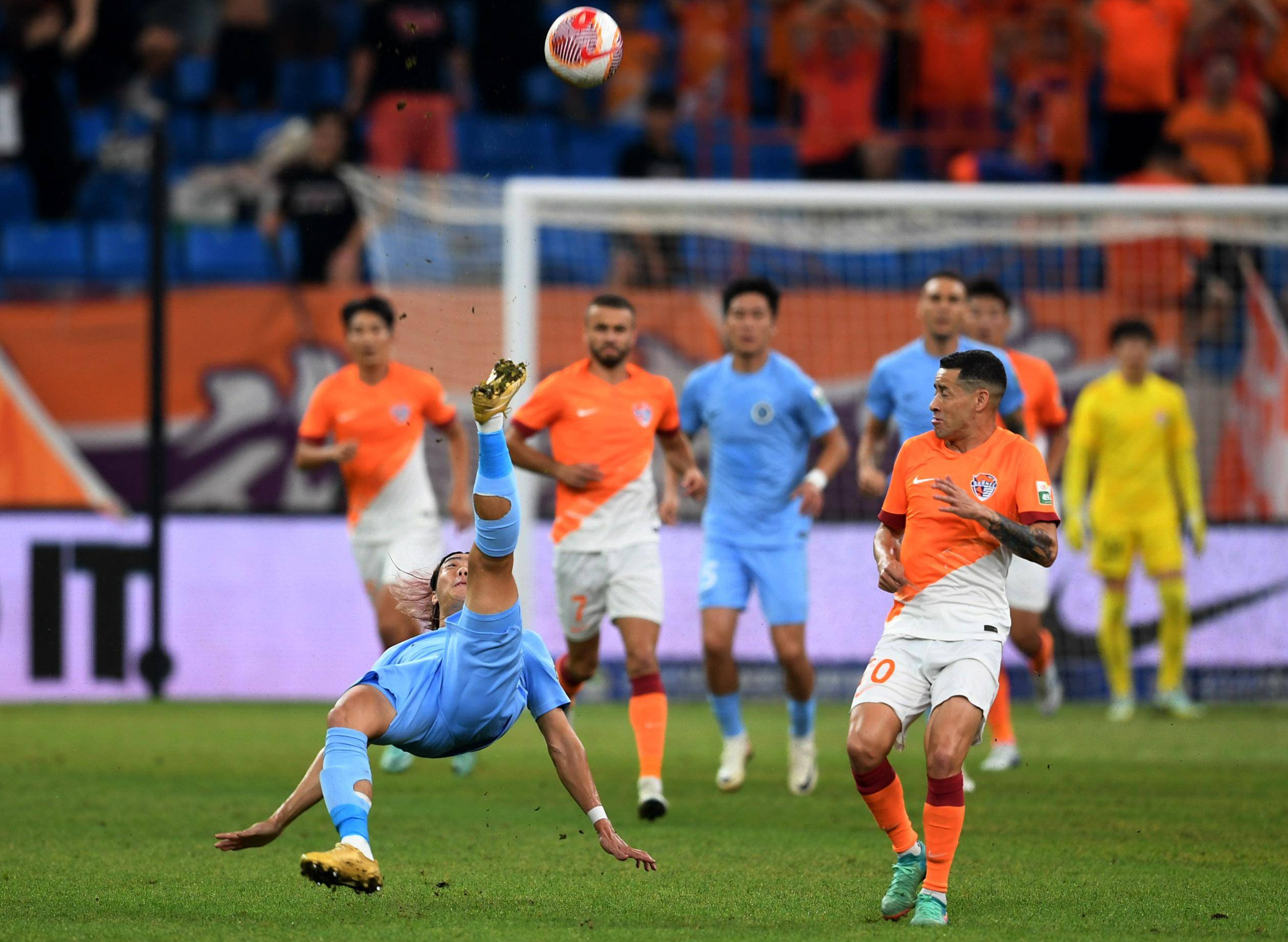 格罗特则以 格罗特则以