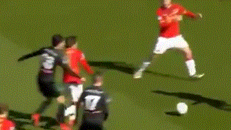 现实参照 现实参照